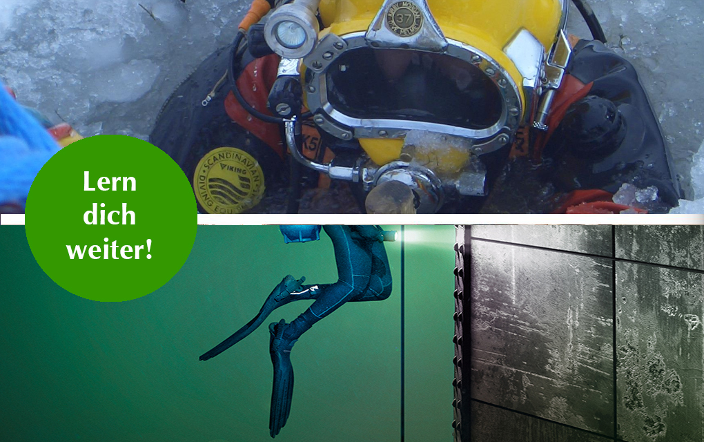 Grafik für -Lern dich weiter: Berufstaucher werden