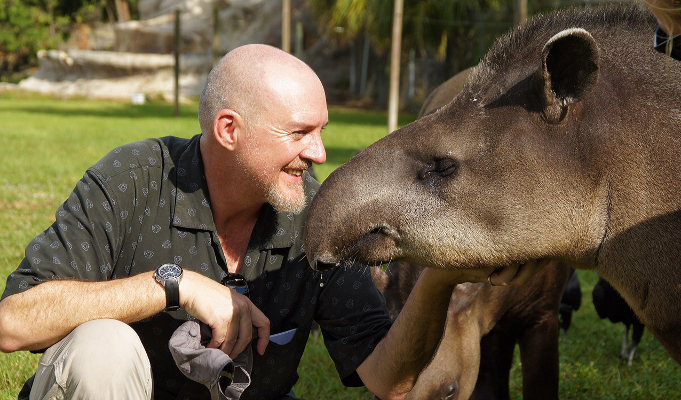 Grafik für -Wie wird man Tierpfleger:in?