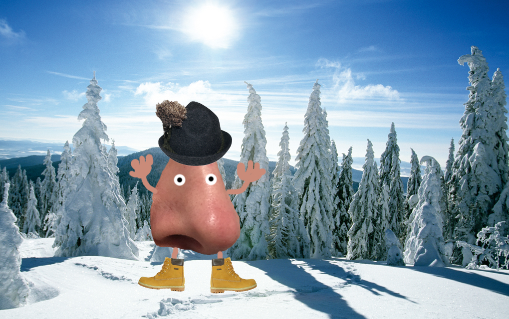 Grafik für -November ohne Schnief und Schneuz: Wie man Erkältung & Grippe abwimmelt