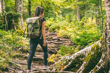 Zu Blogartikel 'Der Wald als Gesundheitsraum und Klassenzimmer' wechseln